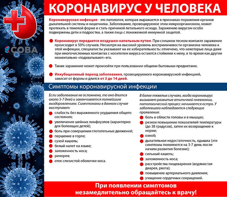 koronavirus.jpg