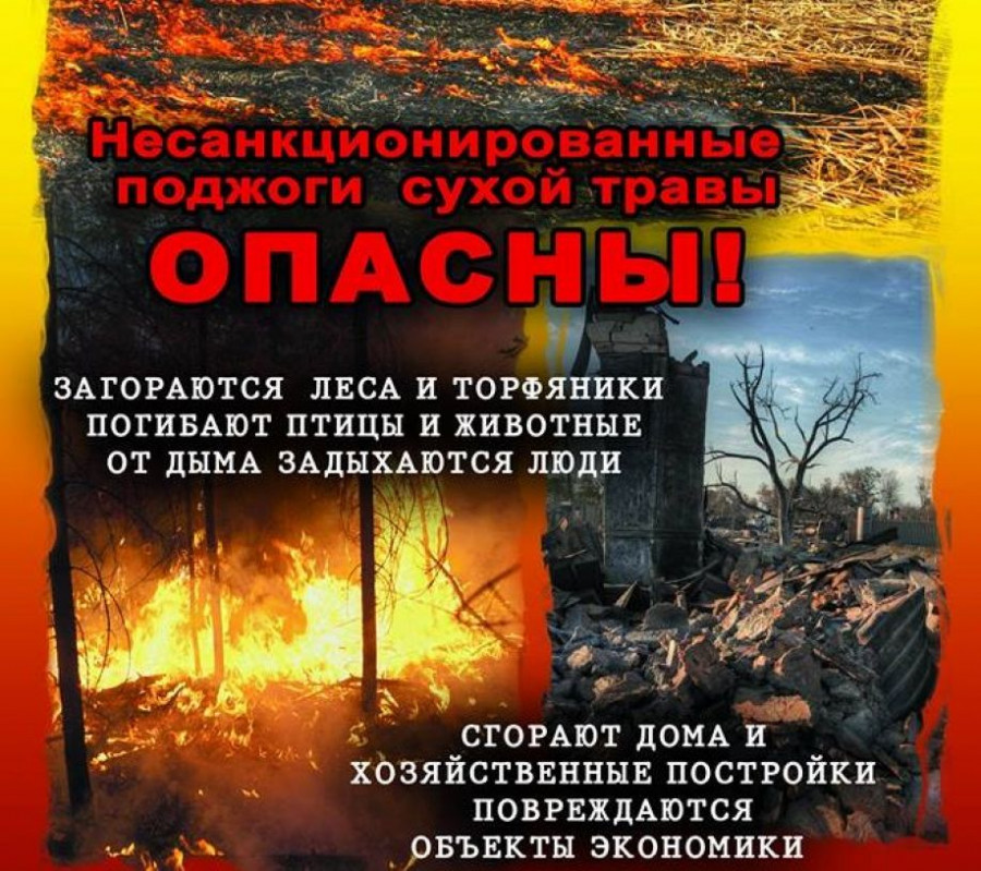1_0.jpg