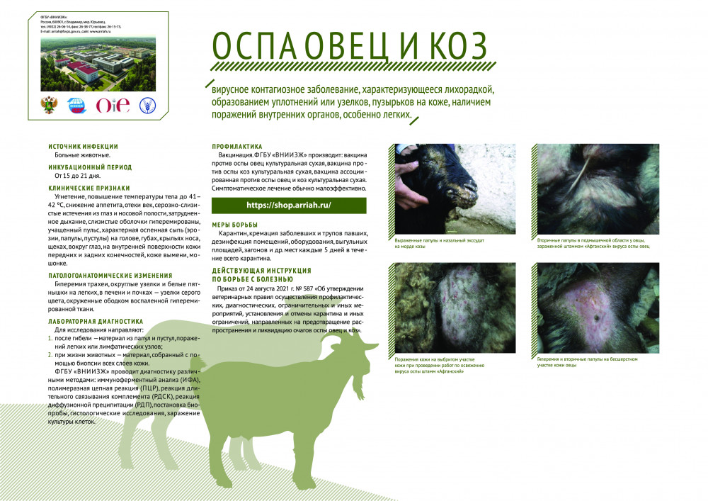 pamyatka-po-ospe-ovec-i-koz_0.jpg