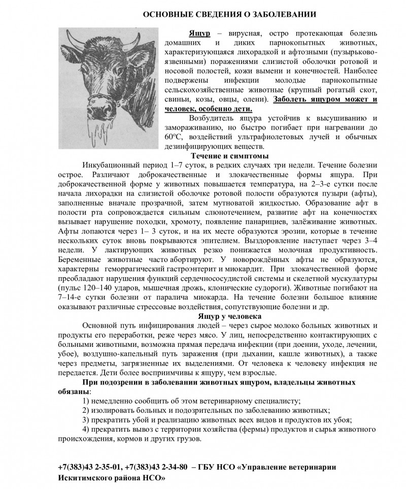 pamyatka-po-yashchuru-_1__0.jpg