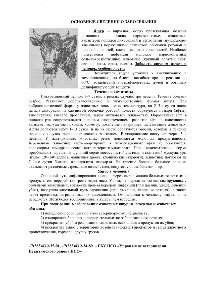pamyatka-po-yashchuru_0.jpg