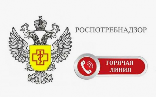 С 26 мая по 6 июня 2025 года будет организована работа «горячей линии»