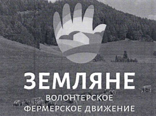 12541.png